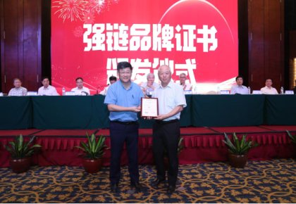 登榜！大奖国际入选首批船舶工业“强链品牌”